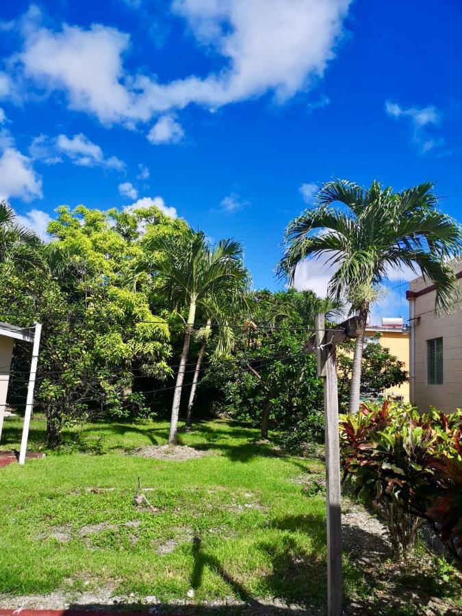 Ventnor House Apartments ブリッジタウン エクステリア 写真